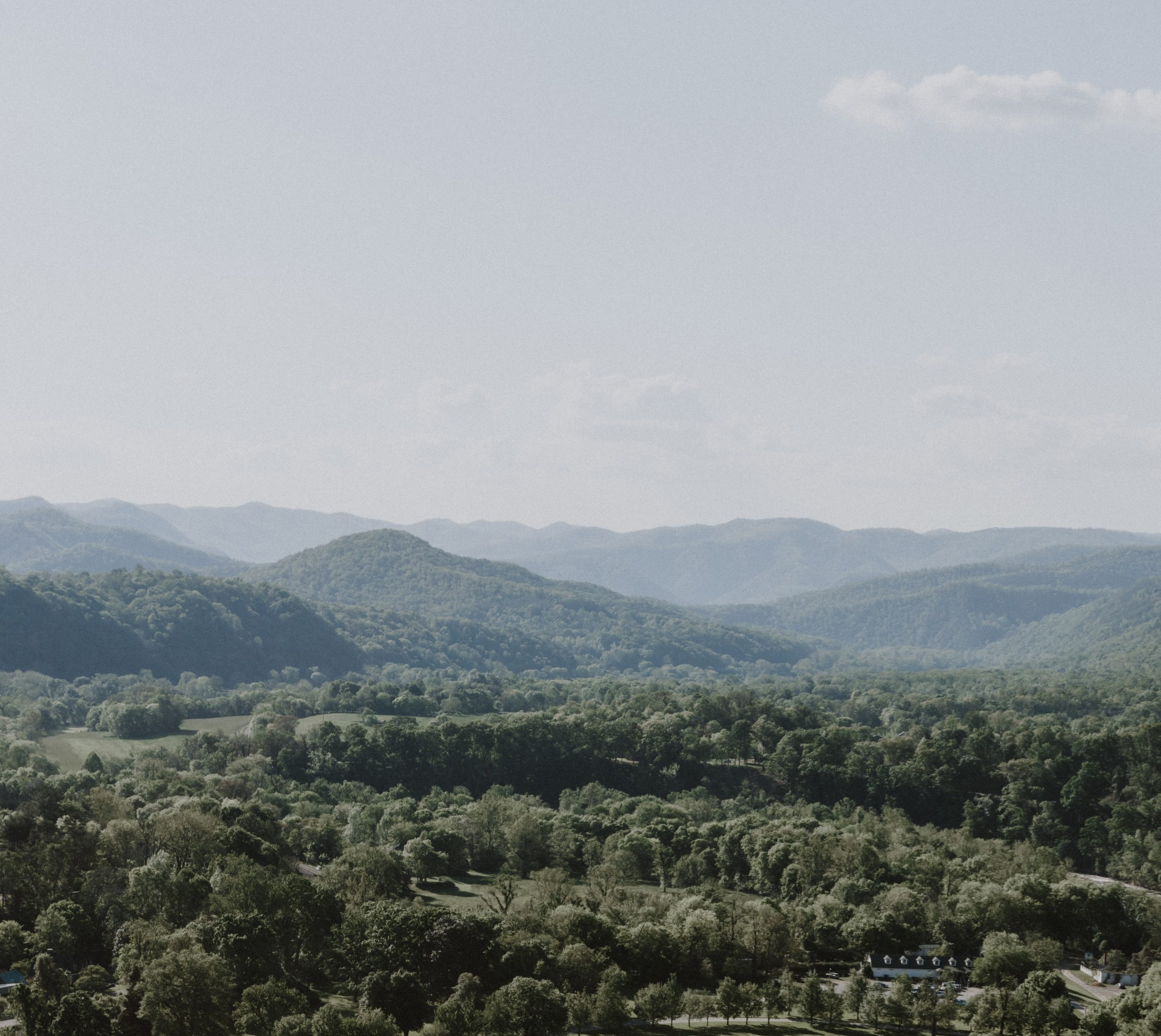 This Month in ReImagine Appalachia: July 27, 2021