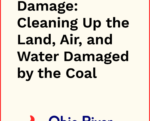 Repairing the Damage AML Report
