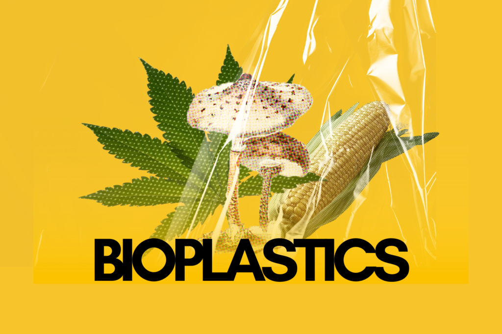 This image shows three sources for bioplastics: Mushrooms, corn, and hemp.