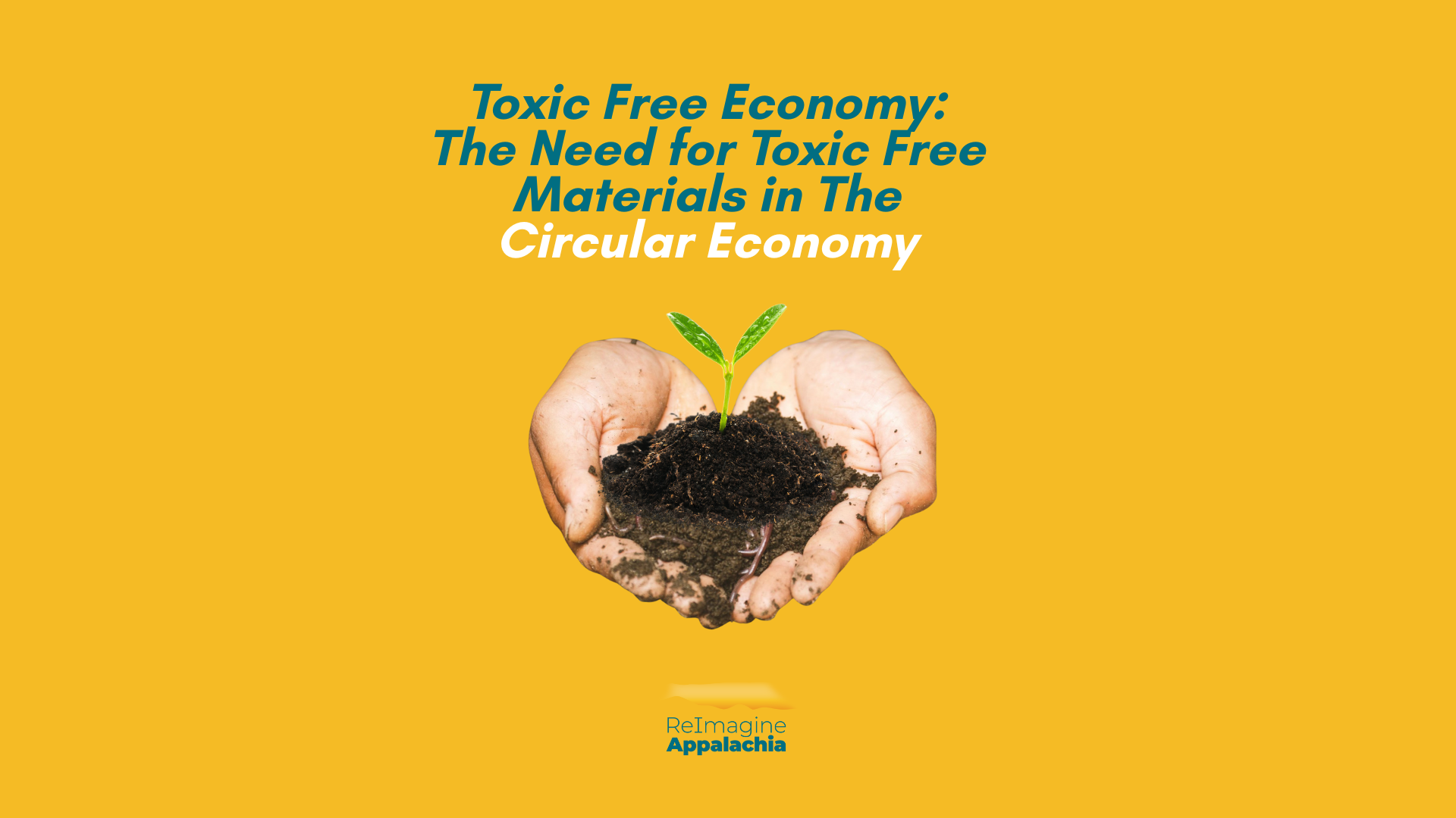 Toxic Free Economy: The Need For Toxic Free Materials In The Circular ...